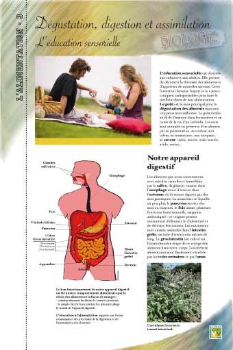 Panneau de l'exposition L'alimentation