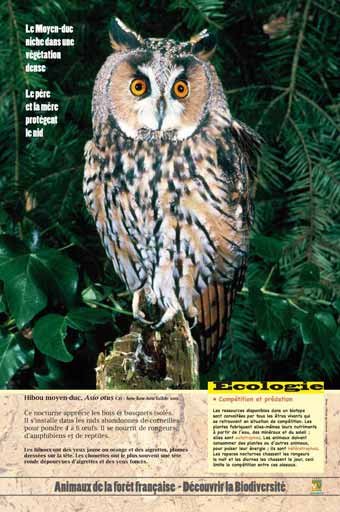 Panneau de l'exposition Animaux de la foret de France