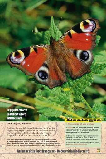 Panneau de l'exposition Animaux de la foret de France