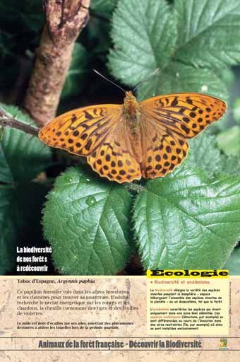 Panneau de l'exposition Animaux de la foret de France
