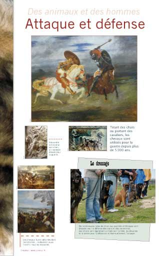 Panneau de l'exposition Des animaux et des hommes