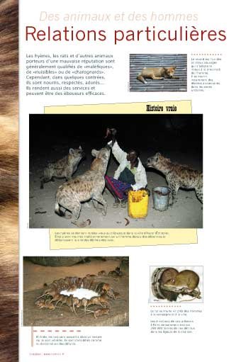 Panneau de l'exposition Des animaux et des hommes