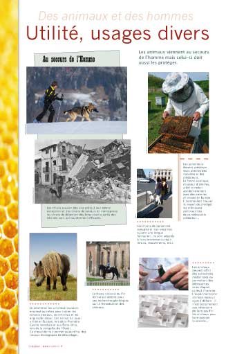 Panneau de l'exposition Des animaux et des hommes