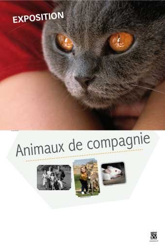 Panneau de l'exposition Animaux de compagnie