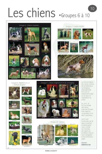 Panneau de l'exposition Animaux de compagnie