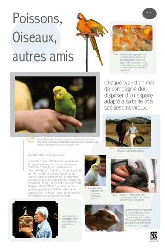 Panneau de l'exposition Animaux de compagnie