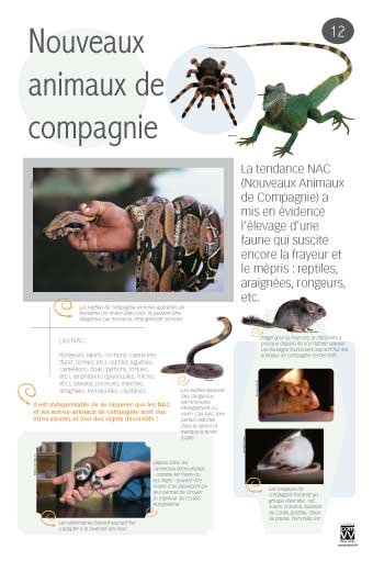 Panneau de l'exposition Animaux de compagnie