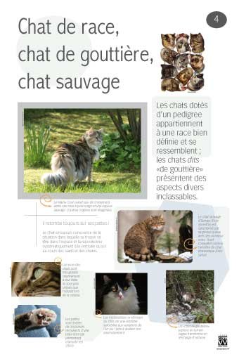 Panneau de l'exposition Animaux de compagnie