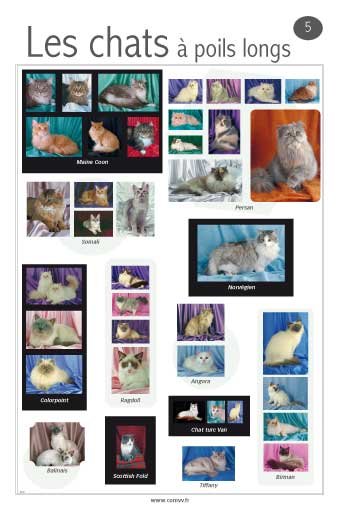 Panneau de l'exposition Animaux de compagnie