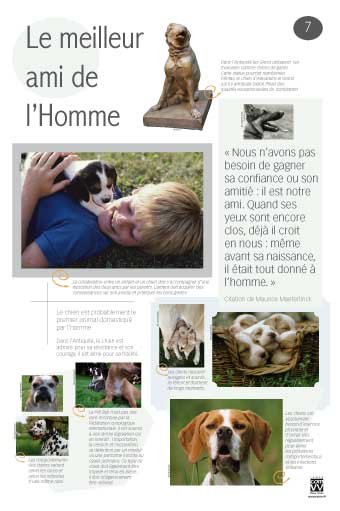 Panneau de l'exposition Animaux de compagnie