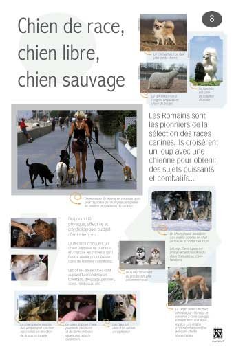 Panneau de l'exposition Animaux de compagnie