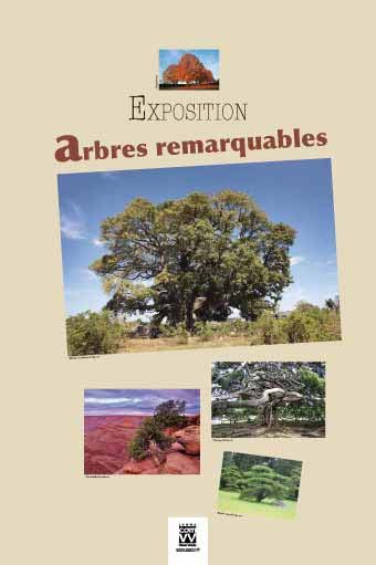 Panneau de l'exposition Arbres remarquables