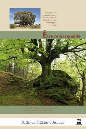 Panneau de l'exposition Arbres remarquables