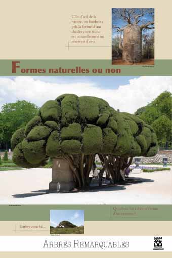 Panneau de l'exposition Arbres remarquables