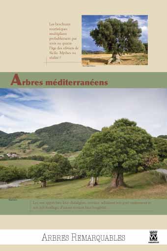 Panneau de l'exposition Arbres remarquables