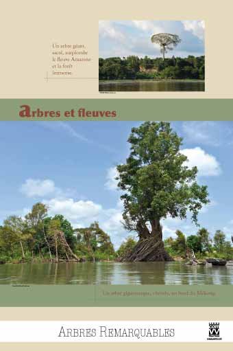 Panneau de l'exposition Arbres remarquables