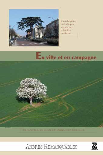 Panneau de l'exposition Arbres remarquables