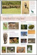 Panneau de l'exposition Inde