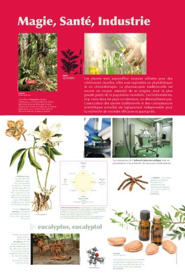 Panneau de l'exposition Plantes medicinales