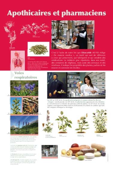 Panneau de l'exposition Plantes medicinales