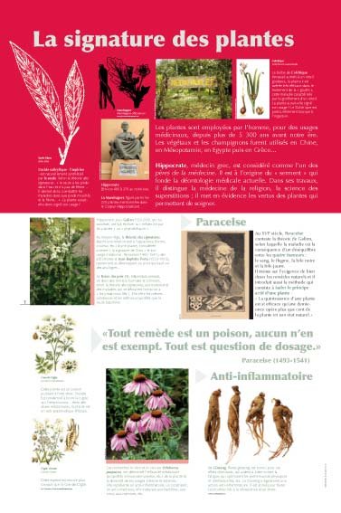 Panneau de l'exposition Plantes medicinales