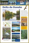 Panneau de l'exposition Roumanie