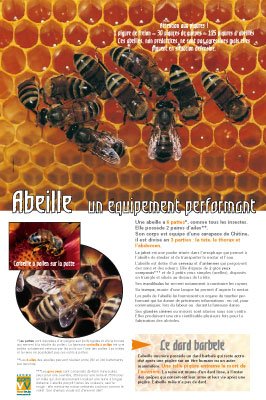 Panneau de l'exposition Abeilles