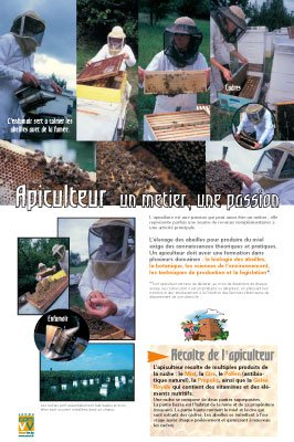 Panneau de l'exposition Abeilles