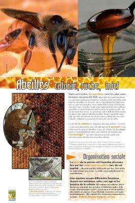 Panneau de l'exposition Abeilles