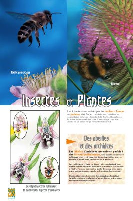 Panneau de l'exposition Abeilles