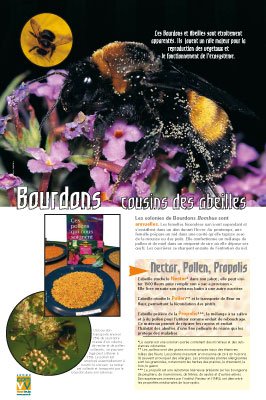 Panneau de l'exposition Abeilles
