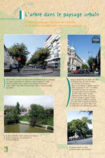 Panneau de l'exposition L'arbre en ville