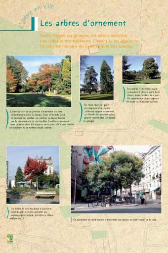 Panneau de l'exposition L'arbre en ville