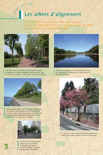 Panneau de l'exposition L'arbre en ville