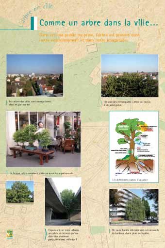Panneau de l'exposition L'arbre en ville