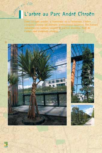Panneau de l'exposition L'arbre en ville