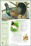 Animaux menaces de France