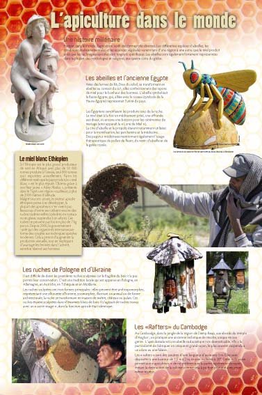 Panneau de l'exposition Apiculture et produits de la ruche