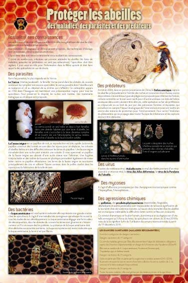Panneau de l'exposition Apiculture et produits de la ruche