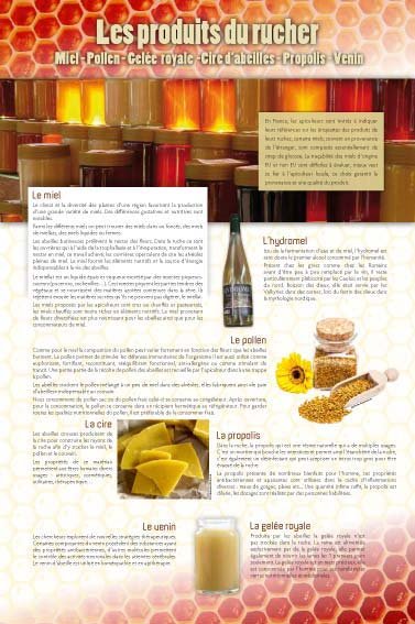 Panneau de l'exposition Apiculture et produits de la ruche