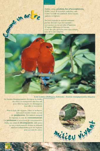 Panneau de l'exposition Comme un arbre