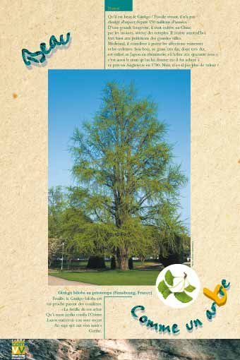 Panneau de l'exposition Comme un arbre