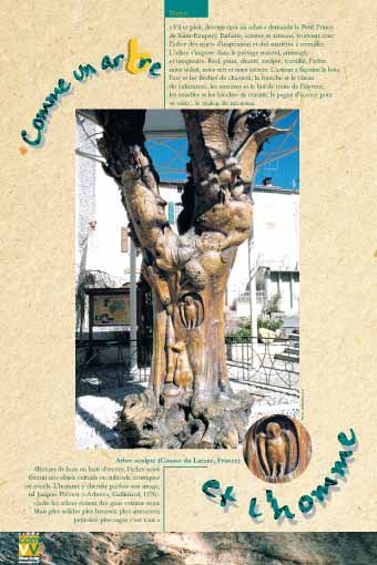 Panneau de l'exposition Comme un arbre