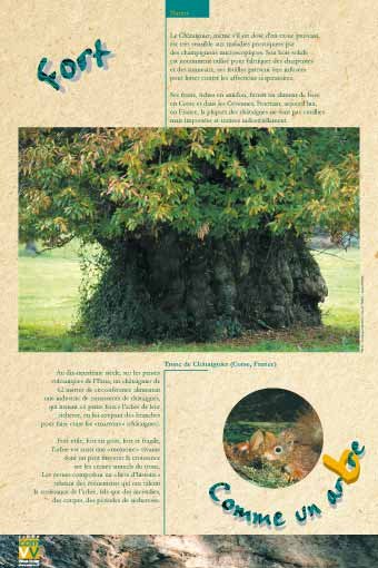 Panneau de l'exposition Comme un arbre
