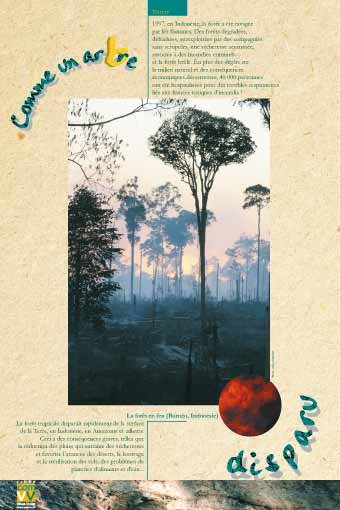 Panneau de l'exposition Comme un arbre