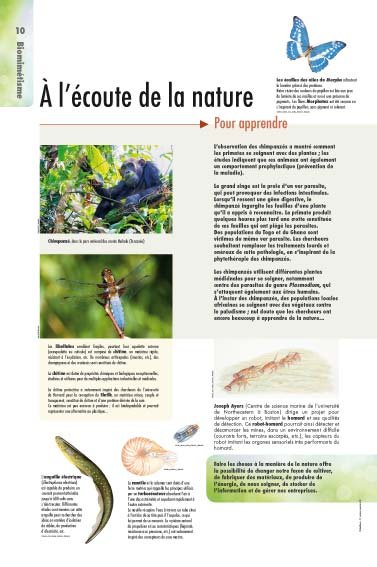 Panneau de l'exposition Biomimetisme