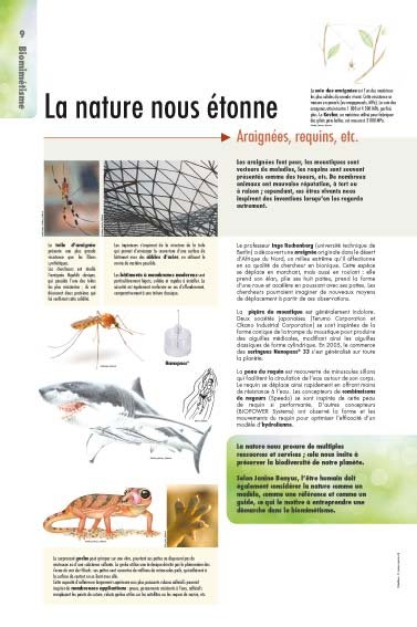Panneau de l'exposition Biomimetisme