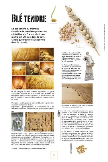 Panneau de l'exposition Cereales