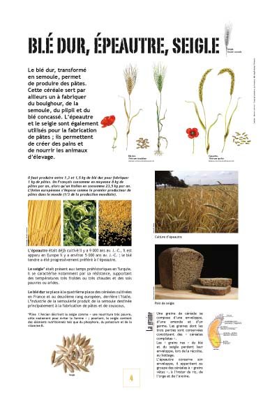 Panneau de l'exposition Cereales