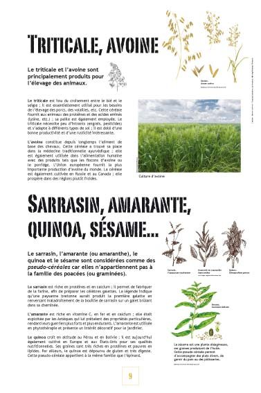 Panneau de l'exposition Cereales